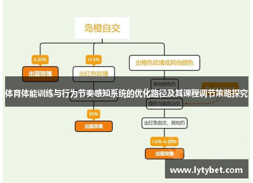 体育体能训练与行为节奏感知系统的优化路径及其课程调节策略探究